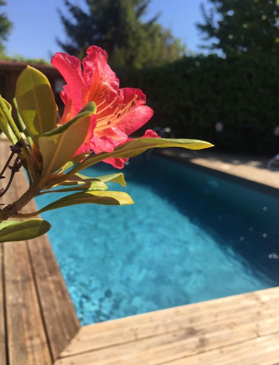 Le Temps Des Pauses Hotel Viviers Екстериор снимка
